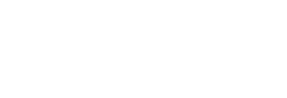 Nuance Digital Partner — Noverize Client Logo